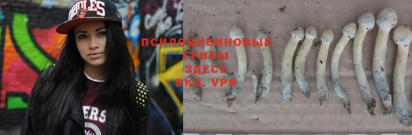 ПСИЛОЦИБИНОВЫЕ ГРИБЫ Кодинск