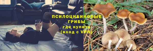ПСИЛОЦИБИНОВЫЕ ГРИБЫ Кодинск